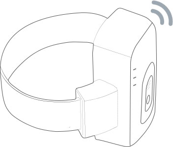 Industrie de la surveillance électronique Gosafe